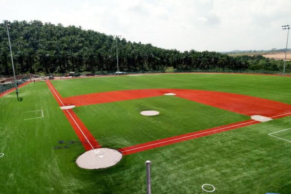 Artificial-Baseball-(RAS)